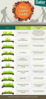 Fall Lawn Care Guide Fall Lawn Fall Lawn Care Lawn Care