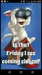 Friday Eve Dog Meme Drone Fest The best gifs are on giphy. friday eve dog meme drone fest