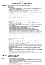 Partnership Marketing Manager Resume Samples Velvet Jobs
