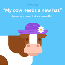 Duolingo For Those Times When Your Cow Needs A New Hat Learn This Sentence And More In Duolingo S German Course Facebook