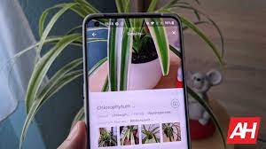 We did not find results for: Top 9 Best Plant Flower Identification Android Apps 2021