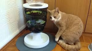 Kedi Oyuncaklari En Populer Kedi Oyuncaklari Miyhav Com
