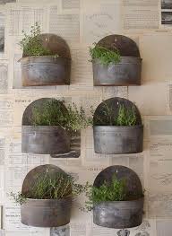Pin On Herbs