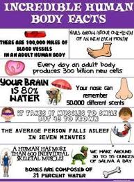 Health And Science Poster Incredible Human Body Facts Human Body Facts Science Poster Human Body