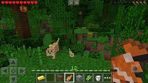 This is a game in the direction of survival, with elements of exploration, adventure. Download Minecraft 1 18 0 23 Mod Immortality For Android