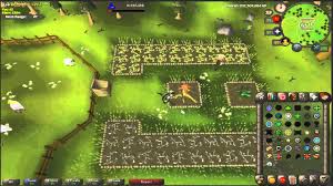 You can go for pets while fighting bosses, training skills, and by. Farming Flower Patch Osrs