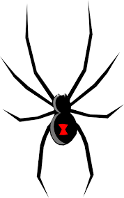 You could even draw a thousand baby spiders crawling around her. Pin By Andrew Bingham On Dee Plane Dee Plane Black Widow Spider Black Widow Drawing Widow Spider