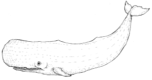 Sesamfrön gömmer sig nämligen ofta som en ingrediens i bland annat bröd, såser och godis. November 2013