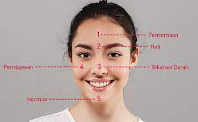 Jerawat di dagu biasanya terjadi pada wanita berusia 25 tahun ke atas. Beauty Journal Situs Kecantikan Dan Gaya Hidup Andalan Wanita Masa Kini