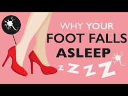 Why Does Your Foot Fall Asleep Have You Ever How To Fall Asleep Body Systems Biology Textbook