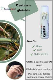 Pin On Homebase