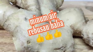 Serunding halia sangat bagus untuk ibu berpantang dan membuang angin dalam badan. Air Halia Minuman Berkhasiat Youtube