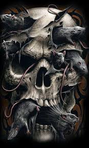 Mobile Phone 240x320 Skull Wallpapers Hd Desktop Backgrounds Skull Wallpaper Black Skulls Wallpaper Skull Artwork
