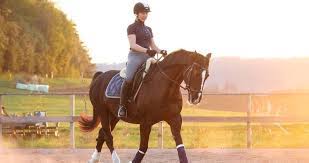 The first thing to do is get transportation for yourself. The Pro S And Cons Of Leasing A Horse Seriously Equestrian