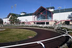 36,214 likes · 215 talking about this · 166,459 were here. Sam Houston Race Park Celebrates 25 Years Of Racing