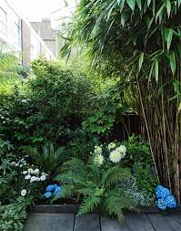 This garden uses black bamboo fencing rolls and large diameter bamboo poles. Urban Space Getting My London Garden To Love Me Back Gardenista Urban Garden Design Small Tropical Gardens Garden Ideas Uk