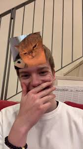 Im Just A Cat Simon and The Astronauts Traduccion