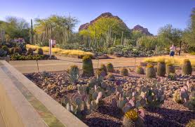 The best selection of royalty free landscape cactus arizona vector art, graphics and stock illustrations. Asla 2013 Professional Awards Ottosen Entry Garden Desert Botanical Garden