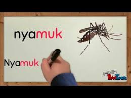 Cikgu hijau digraf dan konsonan bergabung. Digraf Dan Konsonan Bergabung Cikgu Intan Youtube