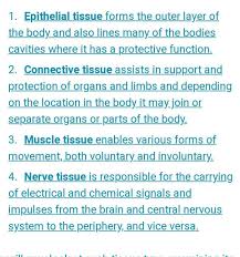 Injury, invasive microorganisms, and fluid loss. Define Types Of Animal Tissue Brainly In