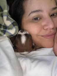 Does anyone's boston terrier take up the hole bed. This girl right here  does.