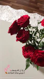 همسة و كـ أن الله وضعك بـ قلبي لـ ي ريني جمال الحياة بك تصميمي تصميم ورد ورود flowers flower quotes valentines flowers romantic diy gifts