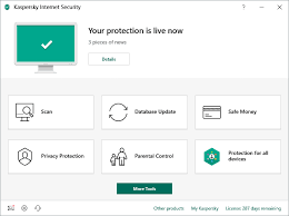 En internet, como en la vida real, hay que tener unos. Como Eliminar Un Virus Informatico Kaspersky