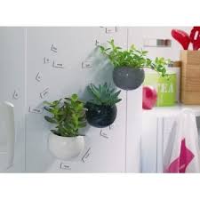Cache Pot Magnetique Blanc O 6 Cm Autres Marques Cache Pot Jardinerie Truffaut Pots