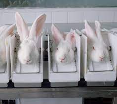 It has been the target of numerous campaigns over its continued use of animal testing and is 23% owned by nestle. Why Your Favourite Beauty Brands Are Still Being Tested On Animals Even Though It S Been Banned In The Uk Since 1997