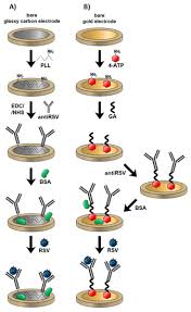 Electrochemical Immunosensors Based