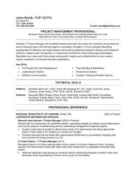 Your mailing address your phone numbers your email address. It Project Manager Resume Sample Template