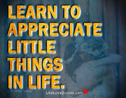 Check spelling or type a new query. Love Quotes Learn To Appreciate Little Things In Life Facebook