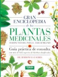 Planta perenne, flores verdes amarillentas. Gran Enciclopedia De Las Plantas Medicinales Jose L Berdonces I Serra Plantas Medicinales Hierbas Plantas Medicinales Hierbas Curativas