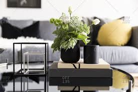 4.7 out of 5 stars. Green And White Flower Arrangement On Coffee Table In Modern Living Room Stock Images Page Everypixel