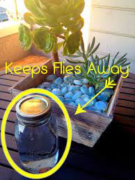 One common treatment uses cayenne pepper steeped in water as a spray treatment. How To Keep Flies Away Jar Bag Pennies And Water Repulsif Mouche Trucs Et Astuces Truc Et Bricolage