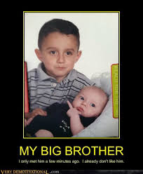 Free shipping on orders over $25 shipped by amazon. 30 Funny Brother Memes To Troll Your Sibling With Sayingimages Com