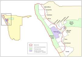 As custom design safari specialists we can. Beach Lions Again Hunting Seals And Coastal Birds In Namibia After 35 Years Africa Geographic