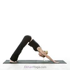 Pose Of The Week Downward Facing Dog Pose Adho Mukha Svanasana Ekhart Yoga Downward Dog Yoga Yoga Poses Dog Poses