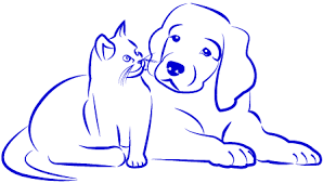 Roaring springs waterpark is committed to providing a comfortable experience for all our guests. Cah Home