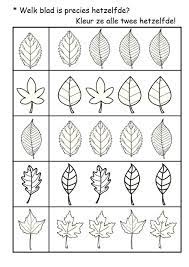 Leaf Worksheets For Kindergarten Worksheet For Kindergarten Kindergarten Worksheets Pattern Worksheets For Kindergarten Worksheets