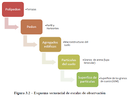 You can use a schema to require a specific set of fields, configure the content of a field, or to validate changes to a document based on its beginning and ending states. 2 Esquema Secuencial De Escalas De Observacion Download Scientific Diagram