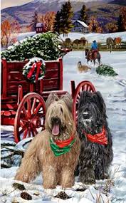 Shop For Cards Briars Dog Christmas Card Christmas Card Pictures Christmas Animals