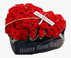 Lovely happy valentine's day background. Happy Rose Day Png Image Happy Valentine Day Rose Transparent Png Kindpng