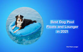Check spelling or type a new query. Dogs Floatation Guide Best Dog Pool Floats And Lounger In 2021