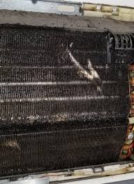 However, dust often collects in these places, which can allow mold to grow. What Is The Black Stuff In My Air Conditioner Quora