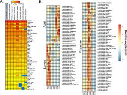 Subterranean termites can nest 20 feet below the ground with a foraging radius of 150 feet. Genome Enabled Insights Into The Biology Of Thrips As Crop Pests Bmc Biology Full Text