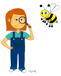 Dessin Decouverte Du Monde Le Vivant Decouverte Du Monde Science Image Abeille