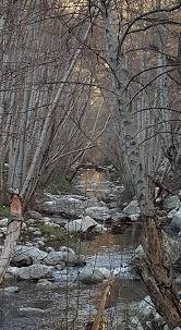 Glenn Camp Campground in Angeles National Forest, California: Reviews and  Photos 2025