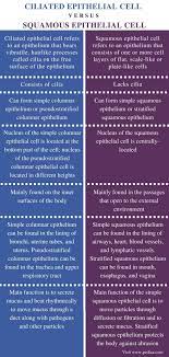 Difference Between Ciliated Epithelial Cell And Squamous Epithelial Cell Comparison Summary Medical Student Study Squamous Cell Definition