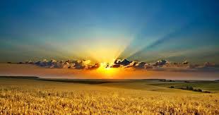 Download now 41 wallpaper keren yang akan mempercantik smartphone kamu. Paling Populer 30 Background Pemandangan Hd Portrait 31 Konsep Wallpaper Pemandangan Ultra Hd Walpaper Pemandangan D Pemandangan Foto Alam Pemandangan Kota